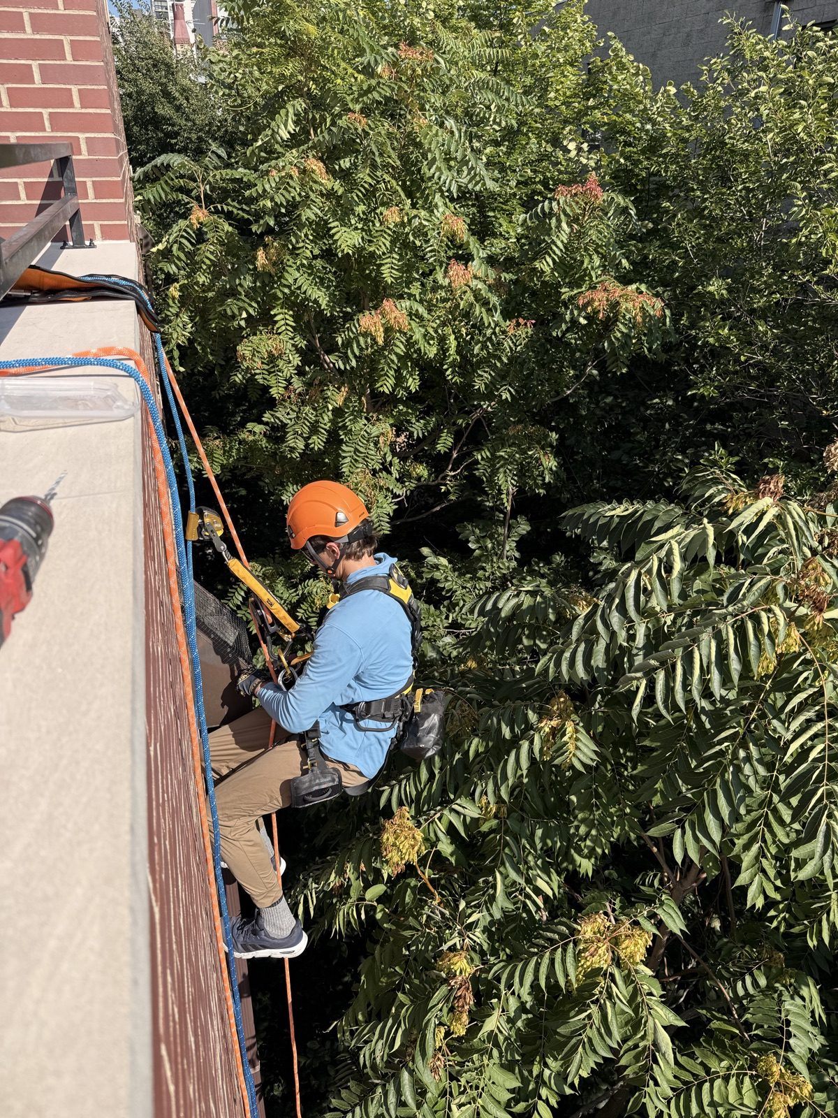 Setting a roof-edge anchor for rope access on North Wieland Street, Old Town, Chicago